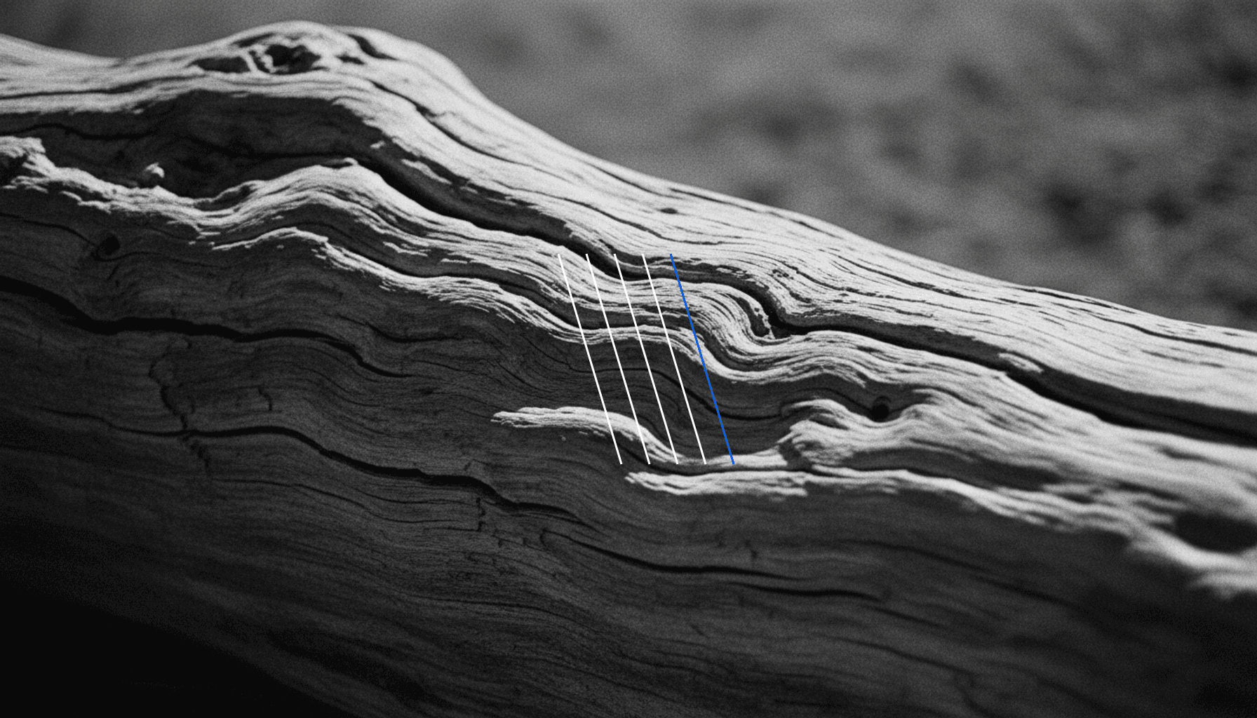 Sanity Webhooks: Automate Content Updates Instantly