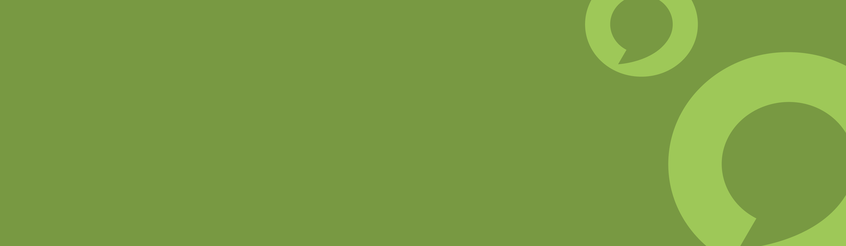 Developing a High-performance Gatsby Website for Ocelot